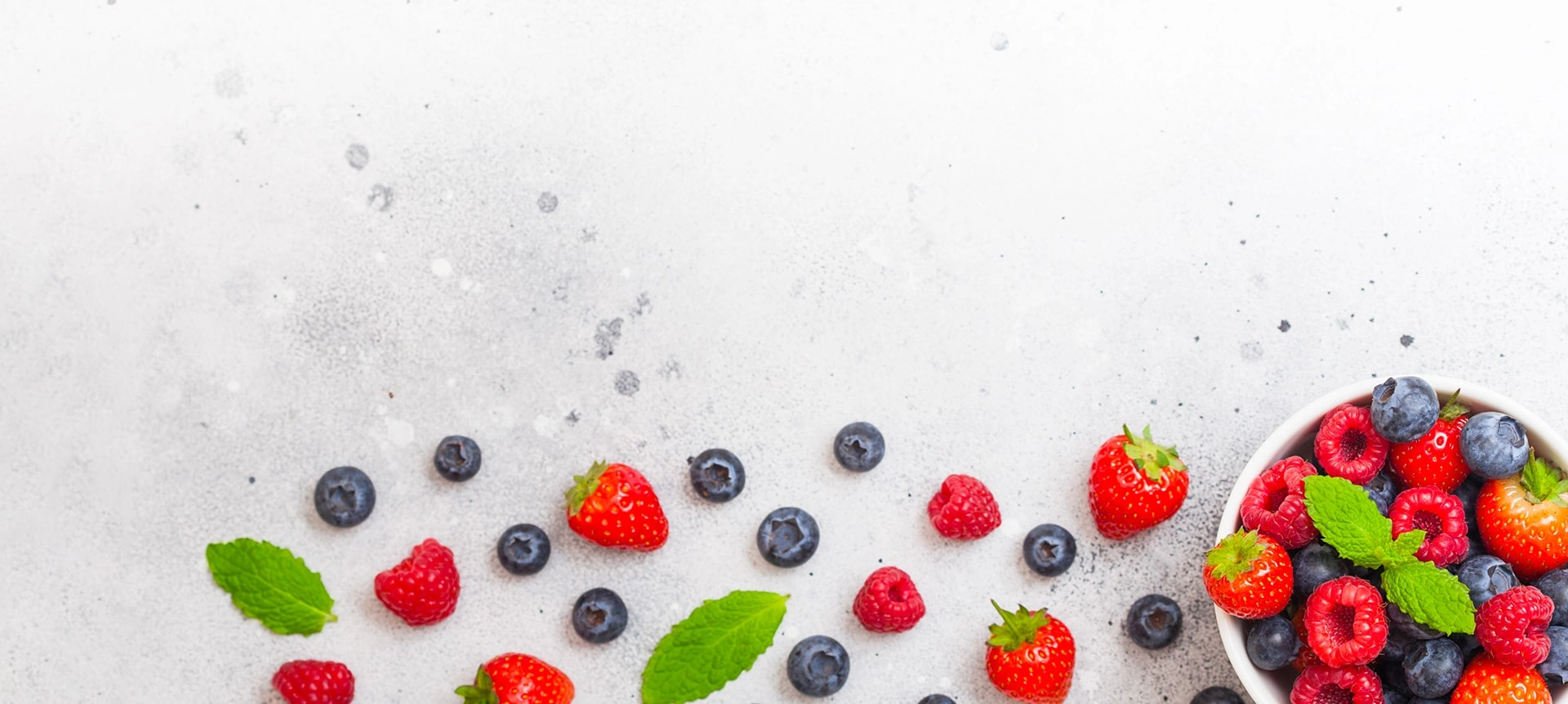 PLANTING BLUEBERRIES