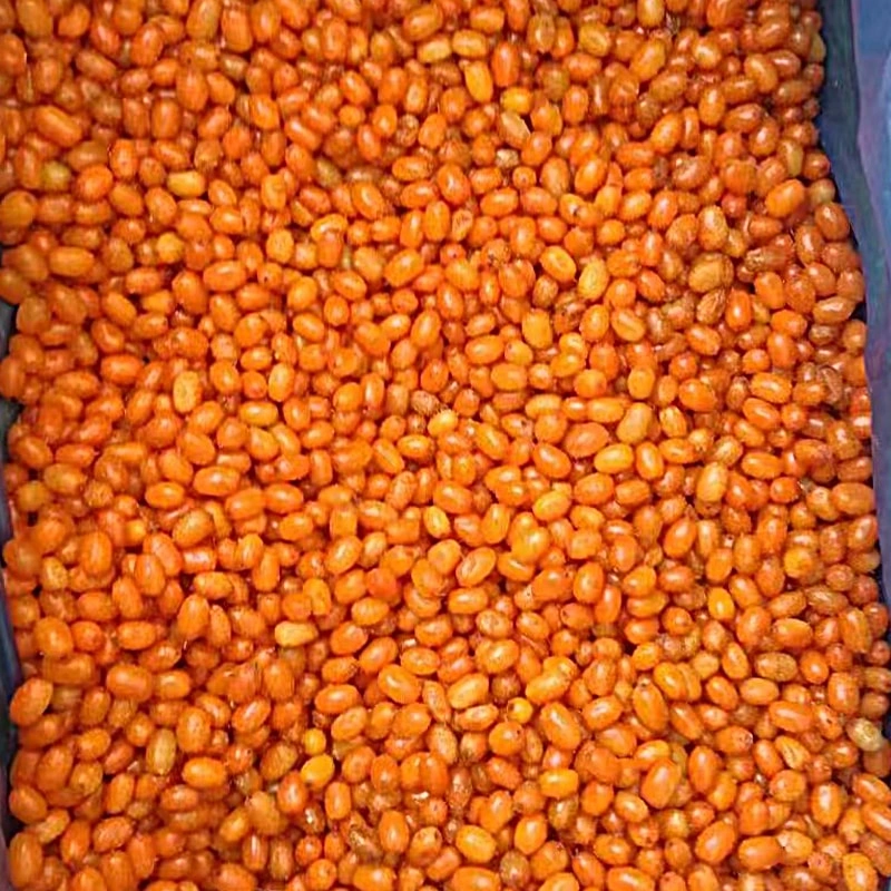 Frozen Sea Buckthorn Berry