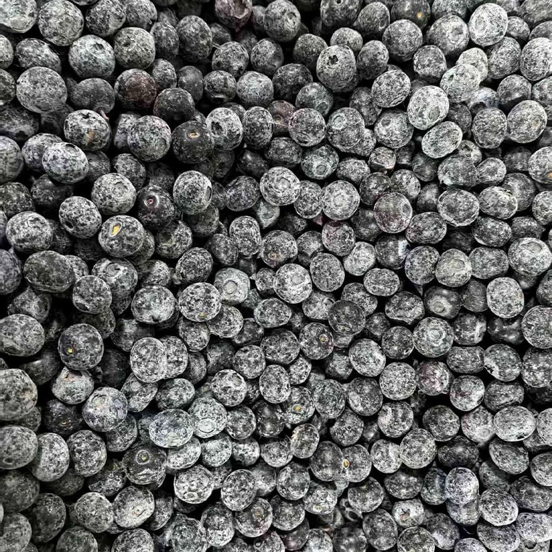 Frozen Blueberry