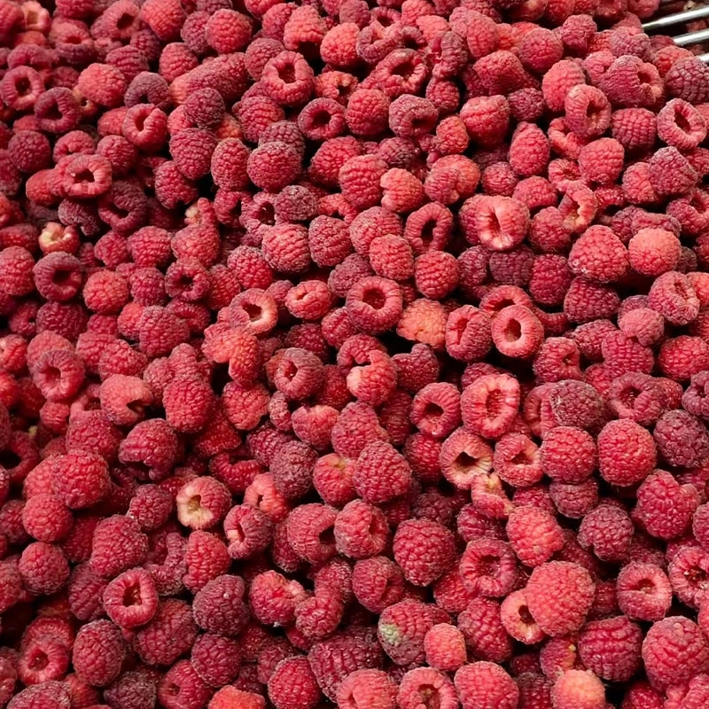 Frozen Raspberry