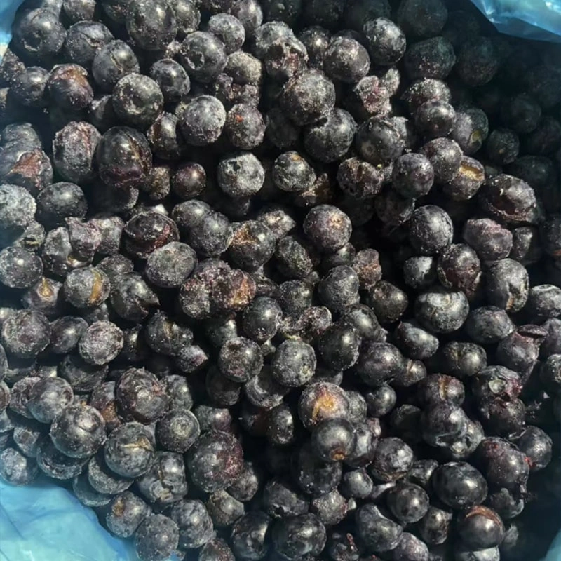 Frozen Blueberry