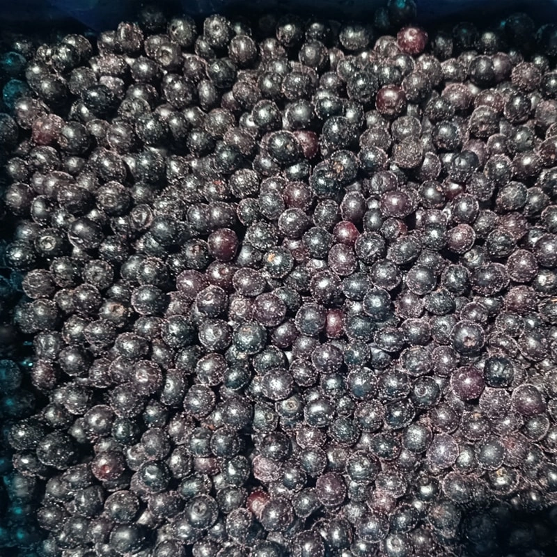 Frozen Blueberry