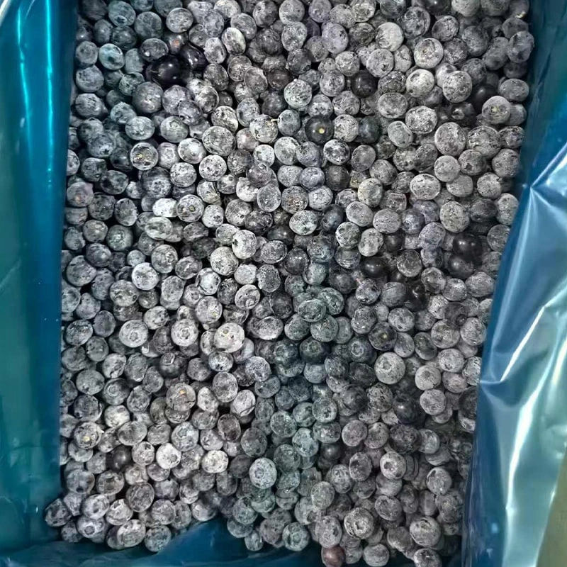 Frozen Blueberry