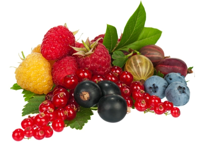 A Cup of Frozen Berries a day is as good as medicine: Here’s why