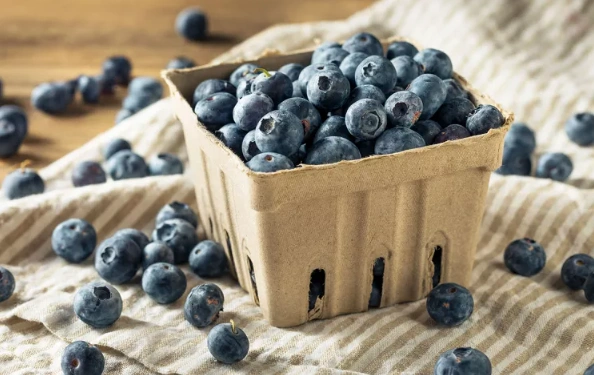 What products can be processed from frozen blueberries（IQF)?