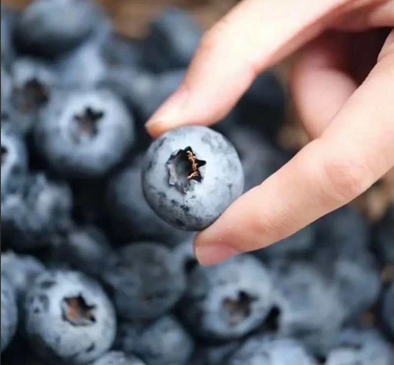 The optimal variety in China.