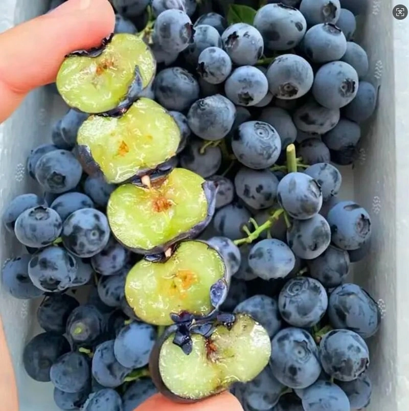 The optimal variety in China.