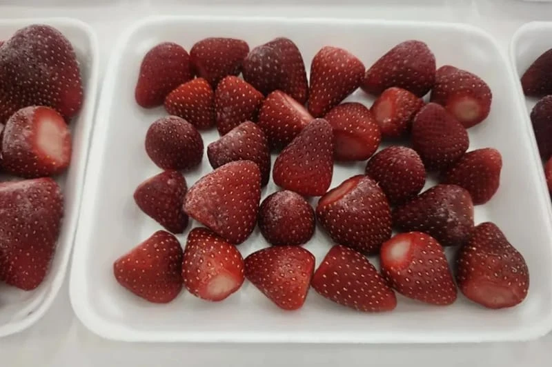 Future development of frozen fruit & vegetable (IQF)